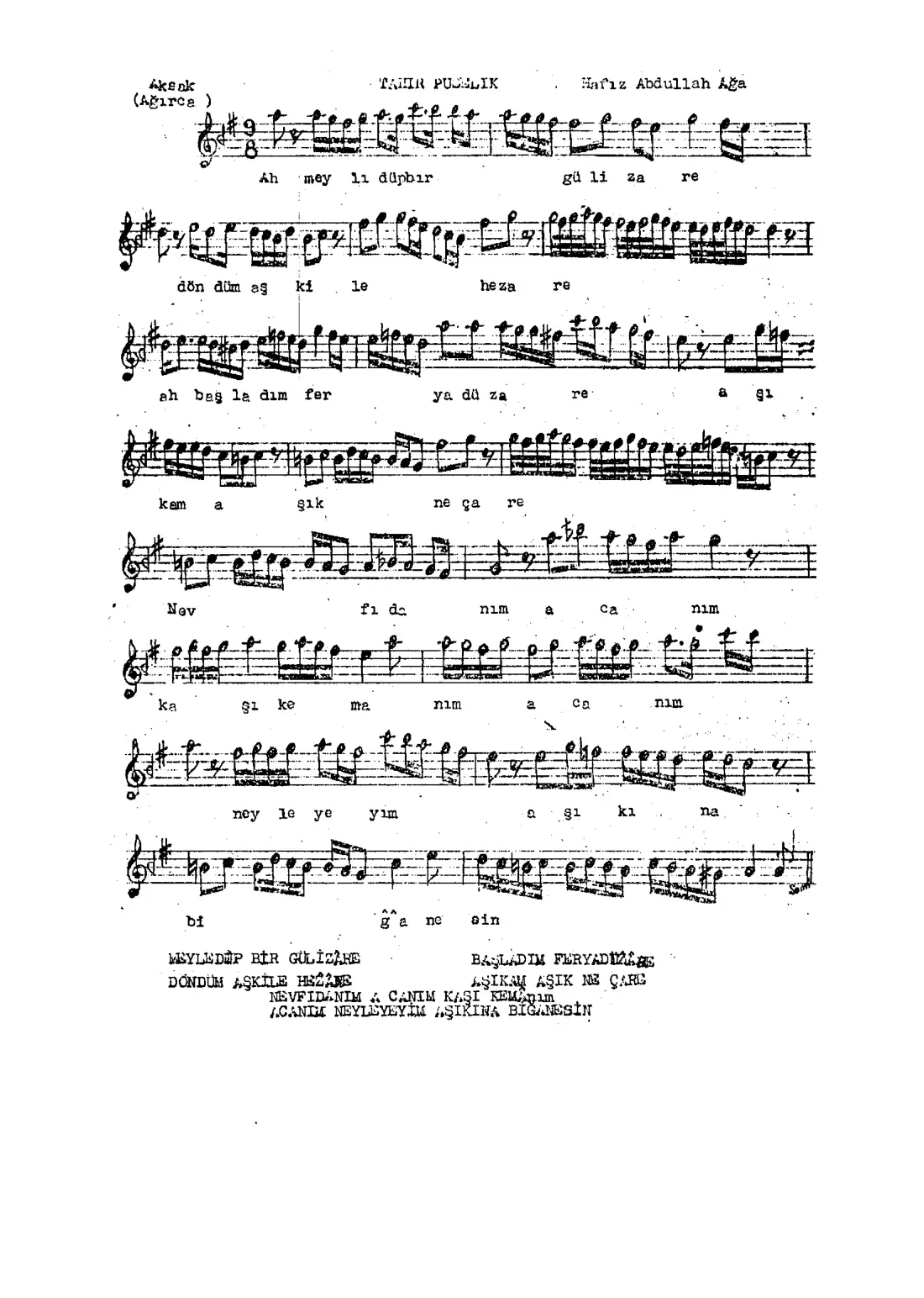 Meyl edip bir gül-izare